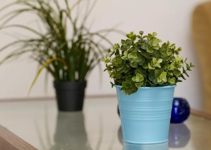 Stella Di Mare House Nyaraló *