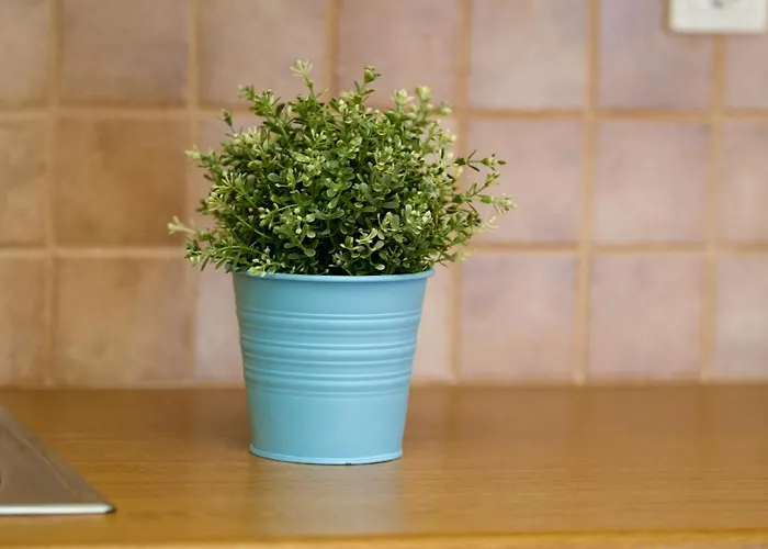 Stella Di Mare House Nyaraló Ájosz Joánisz