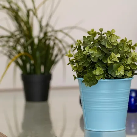 Stella Di Mare House Ferienhaus *