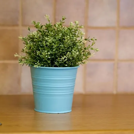 Stella Di Mare House Holiday home Agios Ioannis (Tinos)